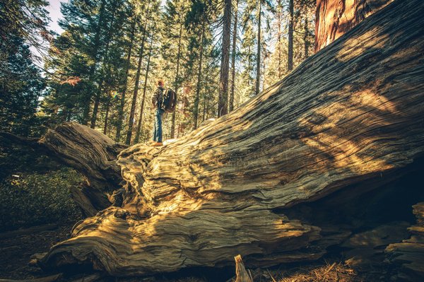 Quels itinéraires de croisière permettent d'explorer les grottes marines en Espagne?
