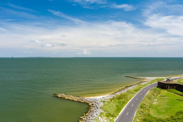 Quelle croisière propose des excursions pour observer les dauphins en mer Rouge?